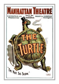 The Turtle 001