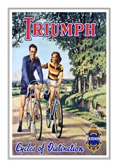 Triumph 009