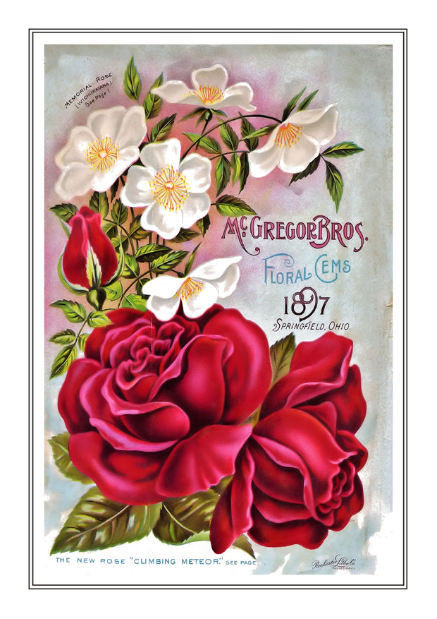 Flower Catalogue 140