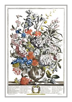 Botanical 001
