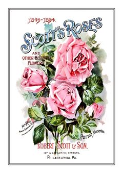 Flower Catalogue 098