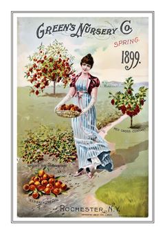Flower Catalogue 101