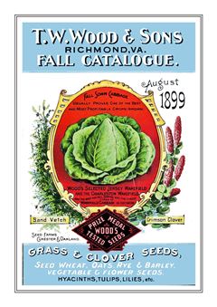 Seed Catalogue 037