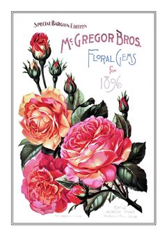 Flower Catalogue 102