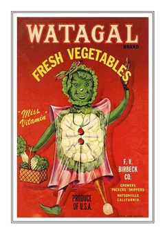Watagal Vegetables 001