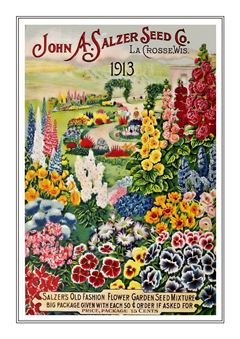 Flower Catalogue 104