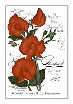Botanical 102