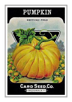 Vegetable Seed Catalogue 041