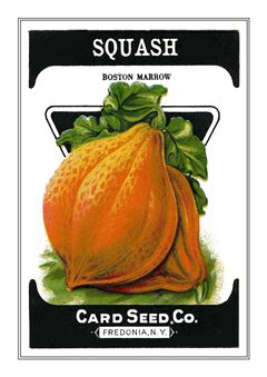 Vegetable Seed Catalogue 042