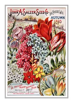 Flower Catalogue 109