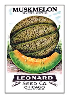 Vegetable Seed Catalogue 051