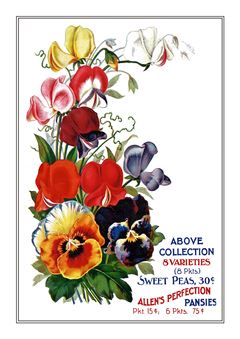 Flower Catalogue 111