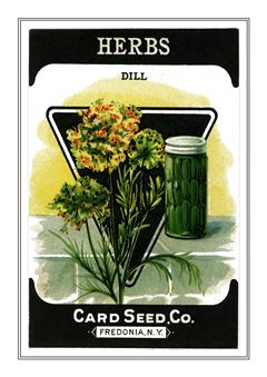 Vegetable Seed Catalogue 044