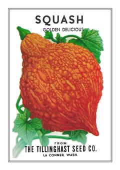 Vegetable Seed Catalogue 045