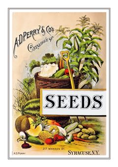 Vegetable Seed Catalogue 047
