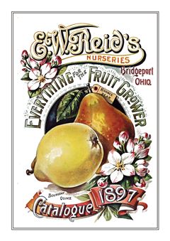 Vegetable Seed Catalogue 048