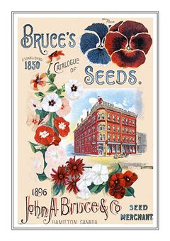 Flower Catalogue 117