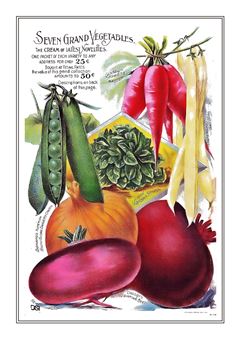 Vegetable Seed Catalogue 049