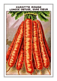 Vegetable Seed Catalogue 050