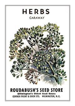 Vegetable Seed Catalogue 052