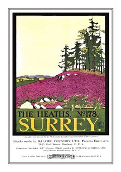 Surrey 001