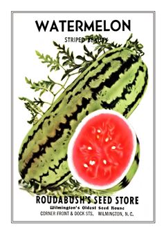 Vegetable Seed Catalogue 053