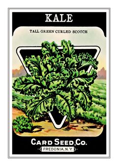 Vegetable Seed Catalogue 056