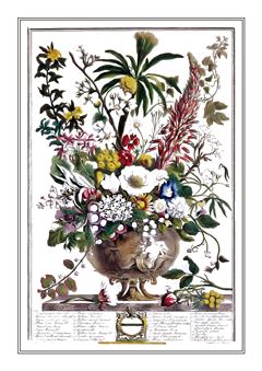 Botanical 119