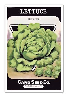 Vegetable Seed Catalogue 057