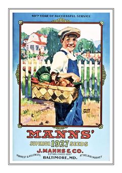 Vegetable Seed Catalogue 060