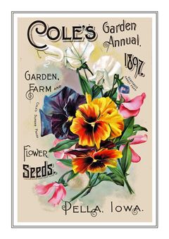 Flower Catalogue 126