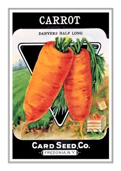 Vegetable Seed Catalogue 061