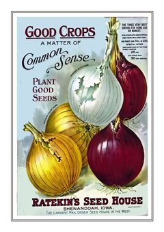 Vegetable Seed Catalogue 064