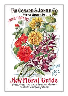 Flower Catalogue 132