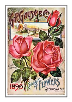 Flower Catalogue 134