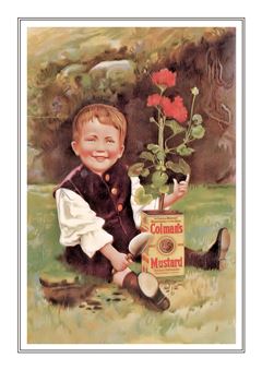 Colmans Mustard  001