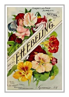 Flower Catalogue 138