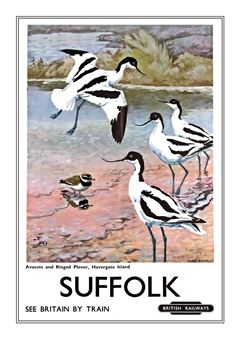 Suffolk 005