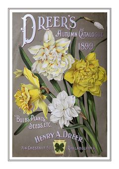 Flower Catalogue 146