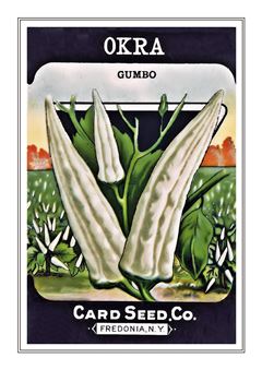 Vegetable Seed Catalogue 078