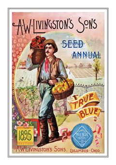 Vegetable Seed Catalogue 079