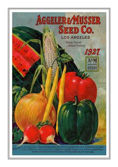 Vegetable Seed Catalogue 080
