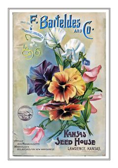 Flower Catalogue 150