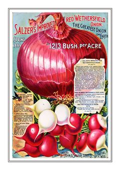 Vegetable Seed Catalogue 084