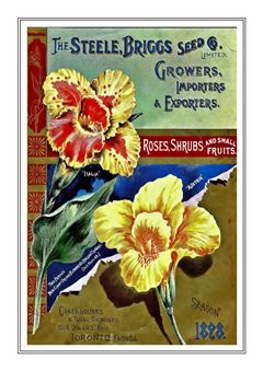 Flower Catalogue 015