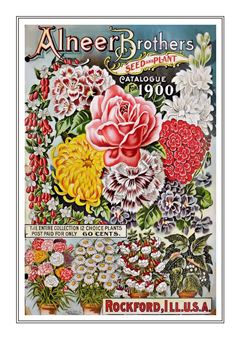 Flower Catalogue 154