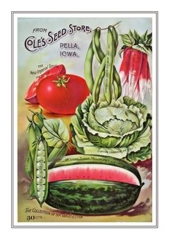 Vegetable Seed Catalogue 086
