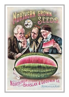 Vegetable Seed Catalogue 088