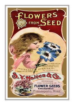Flower Catalogue 159