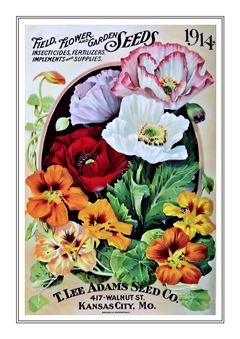 Flower Catalogue 164